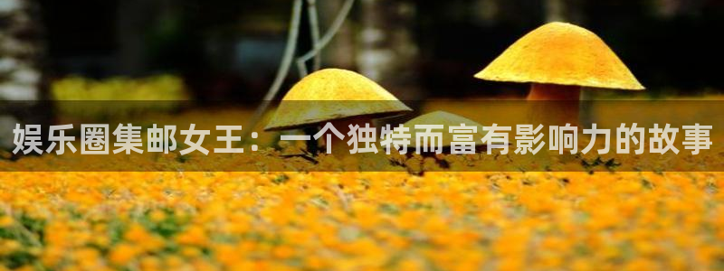 安信12登录入口最新版本更新内容