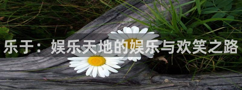 安信12平台登陆入口