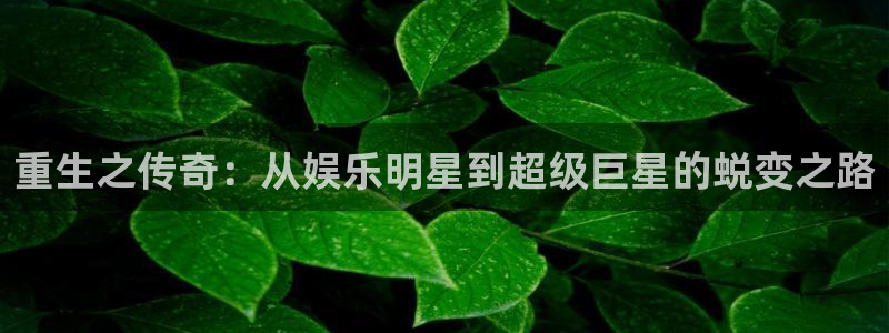 安信12平台登陆入口