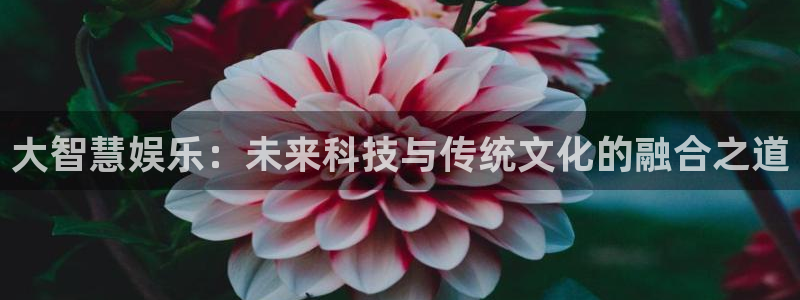 安信12