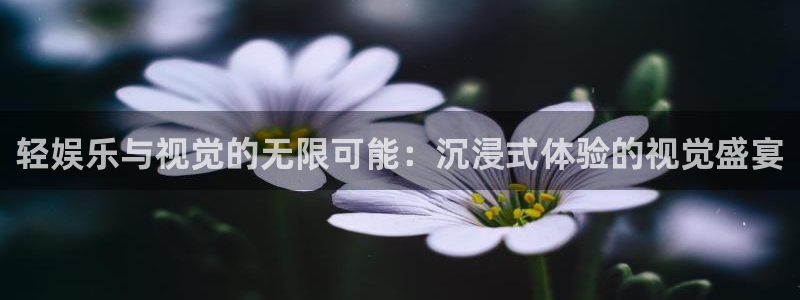 安信娱乐